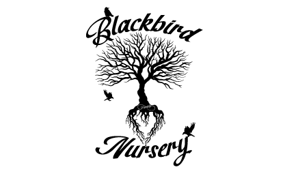 blackbird-nursery-rostech-innovations-clients